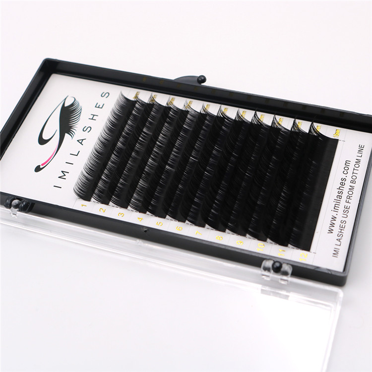 Long lasting professional false eyelashes-D